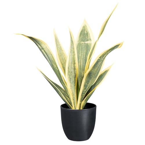 CREATIV green künstliche Sansevieria Pflanze trifasciata 53cm I künstliche Bogenhanf Zimmerpflanze mit naturgetreuen Blättern I stilvolle künstliche Pflanzen wie echt mit Topf von CREATIV green