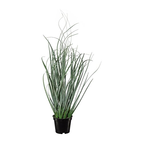 CREATIV green künstlicher Gras-Busch 42cm I Kunstgras hoch mit naturgetreuen & geeisten Gräsern I realitätsnahe Dekogras Kunstpflanze im Topf I hochwertige Gräser künstlich ideal als Indoor Deko von CREATIV green