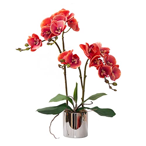 CXGS Künstliche Orchideen-Blumen Pflanzen mit Vase, fühlen sich echt an, künstliche Orchideen für Tischdekoration, lebendige Orchidee, Pflanze, Innenraumdekoration (Fuchsia/Orchidee-Silber) von CXGS