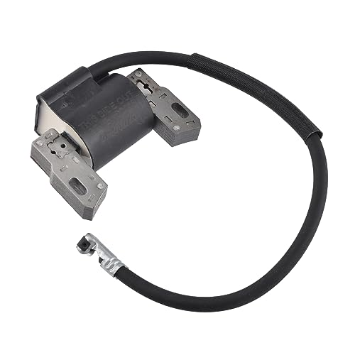 Zündspule für Briggs & Stratton 591420 398593 496914 793281 793295 von Cancanle