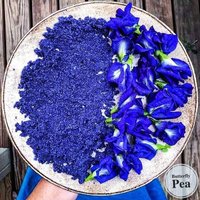 100% Bio Getrockneter Blauer Schmetterling Pea Flower Clitoria Ternatea Kräutertee/Getrocknete Blüten Und Pulver/Non_Gmo Kräuter Blauer Tee von CeylonCraftHouse223