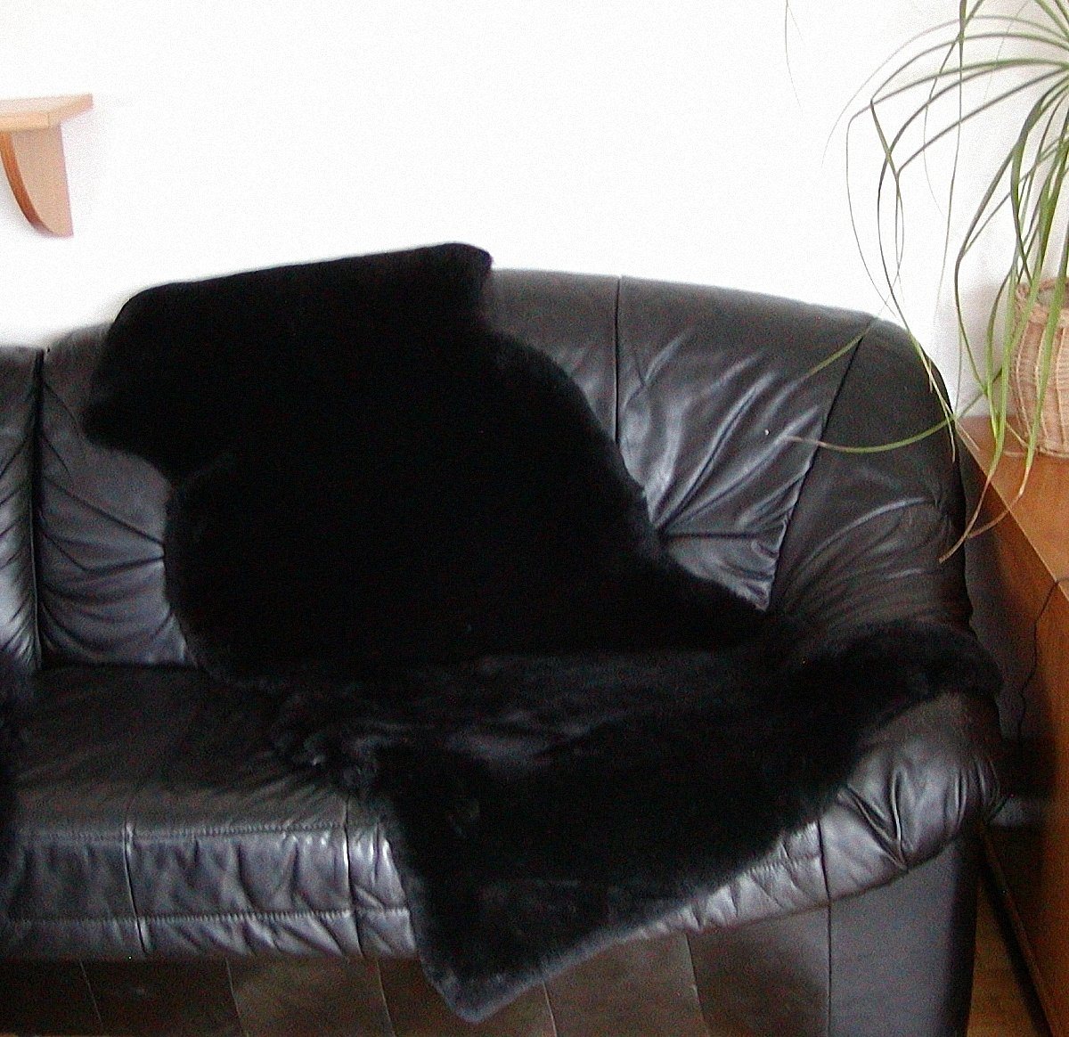 Fellteppich Doppel Lammfelle aus 1,5 Fellen schwarz geschoren waschbar ca. 160 cm, Chamier Lammfellprodukte von Chamier Lammfellprodukte