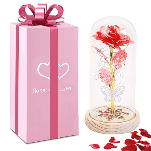 Die Schöne und das Biest Ewige Rose,Ewige Rose,Ewige Rose im Glas mit LED-Licht,Sparkly Galaxy Rose,LED Glas Infinity Rosen,Personalisierte Geschenke für Frauen,Valentinstag,Muttertag,Hochzeit von ChaneeHann