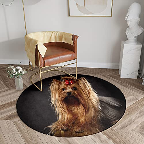 Chickwin Teppich für Wohnzimmer Rund, Hund Muster rutschfeste Teppiche Flanell Flauschig Weich Moderne Fußmatte für Schlafzimmer Kinderzimmer Küche (Yorkshire-Terrier,Durchmesser 60cm) von Chickwin