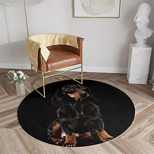 Chickwin rutschfeste Teppich Rund, 3D Hund Muster Teppich für Wohnzimmer Moderne Flauschig Weich Teppiche Fußmatte für Schlafzimmer Kinderzimmer Küche (Durchmesser 100cm,Dackel) von Chickwin