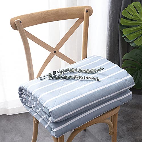 Chickwin Blatt Tagesdecke Bettüberwurf Gesteppt, Streifen Mikrofaser Tagesdecke Schlafzimmer Steppdecke Decke Überwurf Wohnzimmer Sofaüberwurf für Einzelbett Doppelbett (Hellblau weiß,150x200cm) von Chickwing