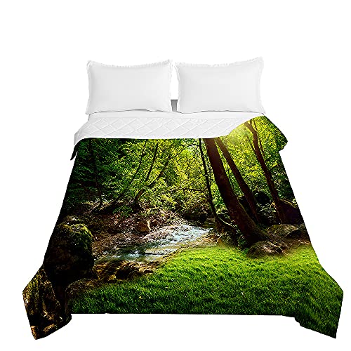 Chickwin Tagesdecken Bettüberwurf, 3D Wald Drucken Herbst Winter Tagesdecke mit Prägemuster Wohndecke aus Mikrofaser Bettdecke für Einzelbett Doppelbett Kinder (Fluss,150x200cm) von Chickwing