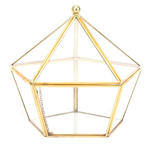 Cikonielf Glas Terrarium Einzigartige geometrische Sukkulente Pflanzer Pflanzer Künstliche Blumenbehälter Halter Staubschutz Dekor Mini Innen Gewächshaus von Cikonielf