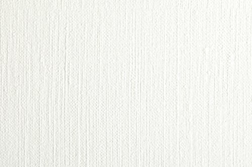Clairefontaine 975831C - Packung mit 10 Bögen Ölpapier, 75x110 cm, 240g, ideal für die Ölmalerei und im Freien, Weiß, 1 Pack Clairefontaine 975831C - Packung mit 10 Bögen Ölpapier, 75x110 cm, 240g, ideal für die Ölmalerei und im Freien, Weiß, 1 Pack von Clairefontaine