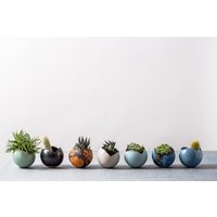 Keramik Übertöpfe Für Sukkulenten | 7 Farboptionen Zur Auswahl - Mittlere Größe von ClaybyDannah