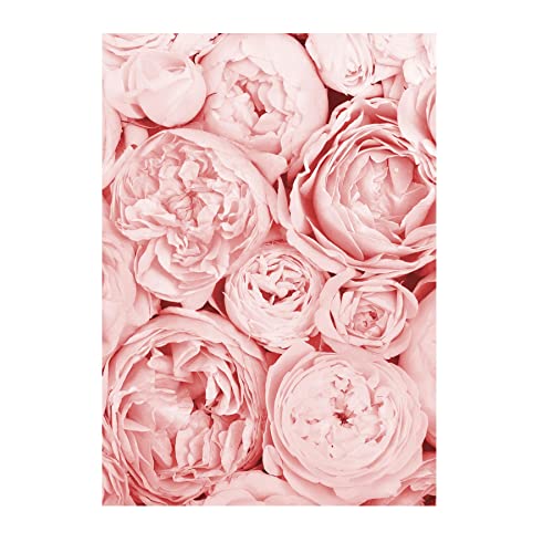 Close Up Paris rosa Blumen Poster - DIN A4 (21 x 29,7 cm) - Premium Vintage Rosen Wanddeko - Pfingstrosen Kunstdruck Homedecor von Close Up