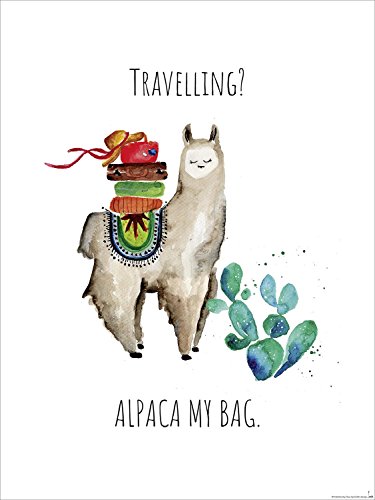 Close Up Travelling? Alpaca My Bag - Kunstdruck Janette, lustiges Alpaka Urlaub Poster - Premium Qualität 220g/m (40 x 30 cm) von Close Up