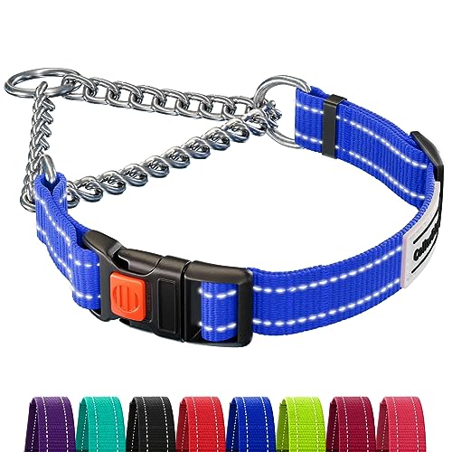 CollarDirect Reflective Dog Collar Martingale Collars Side Release Buckle Chain Training Adjustable Pet Collars (S, Neck Size 12"-15", Blue) von CollarDirect