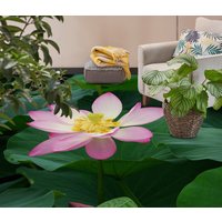 3D Zuversichtlich Lotus Jj7744Ff Boden Tapete Wandbilder Selbstklebende Abnehmbare Bad Wasserdichtboden Teppich Matte Print Epoxy Küche von ColofulHomeDecors