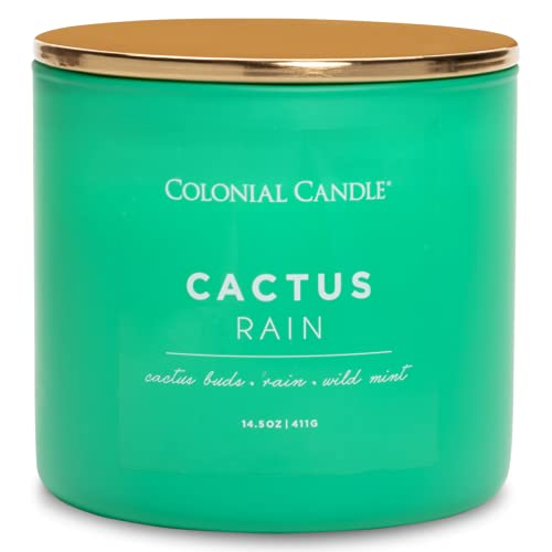 Colonial Candle Duftkerze im Glas mit Deckel | Cactus Rain | Duftkerze Floral | Kerze 3 Docht | Kerzen lange Brenndauer bis zu 60h | Kerzen Grün (411g) von Colonial Candle