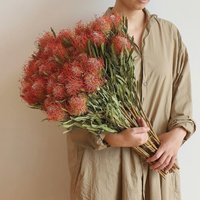Getrocknete Leucospermum Blumen Orange, Arrangement，wohnkultur，hochzeitsblumen Dekor von CraftZoom