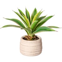 Creativ green Künstliche Zimmerpflanze "Agave im Zementtopf" von Creativ Green