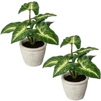 Creativ green Künstliche Zimmerpflanze "Blattpflanze Syngonium", im Zementtopf, 2er Set von Creativ Green