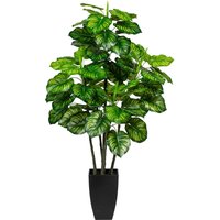 Creativ green Künstliche Zimmerpflanze "Maranta" von Creativ Green