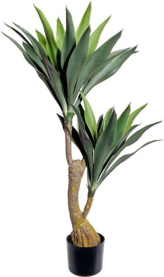 Künstliche Zimmerpflanze Dracaena Sukkulente, Creativ green, Höhe 100 cm von Creativ Green