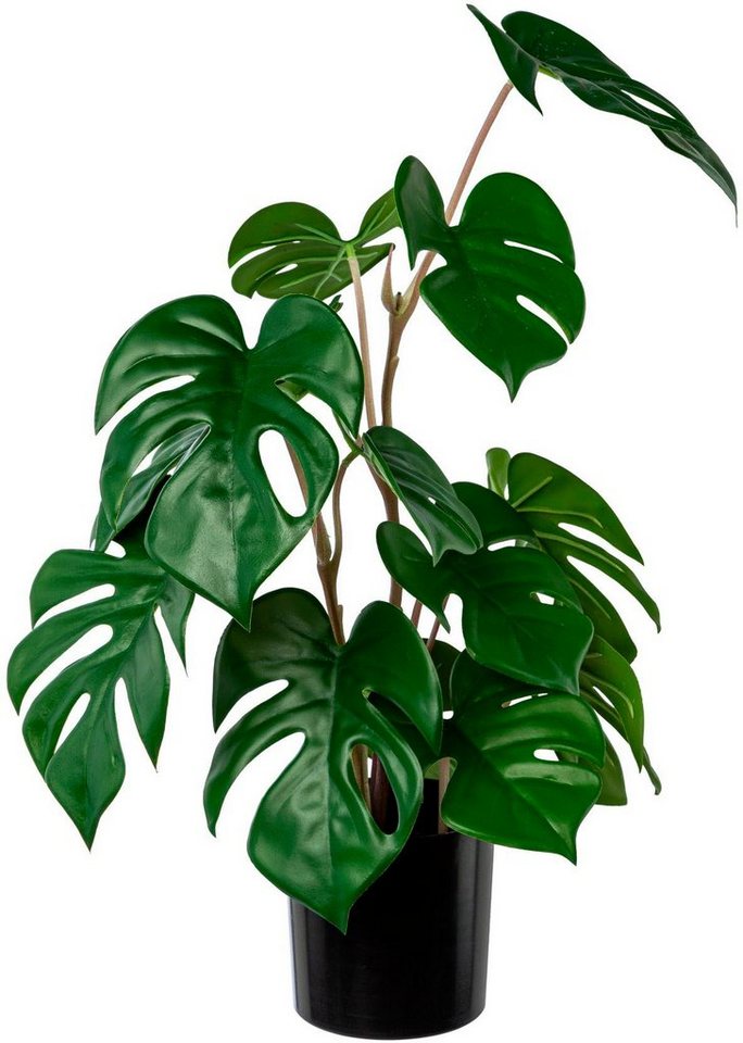 Künstliche Zimmerpflanze Split-Philodendron-Pflanze Sukkulente, Creativ green, Höhe 50 cm von Creativ Green