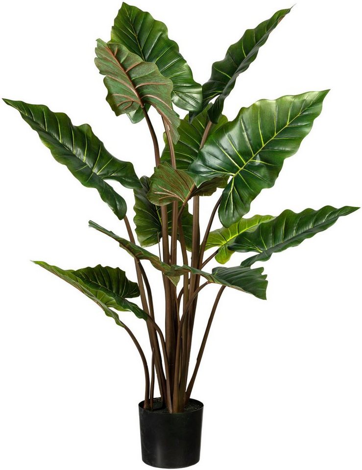 Künstliche Zimmerpflanze Taropflanze Taropflanze, Creativ green, Höhe 140 cm von Creativ green