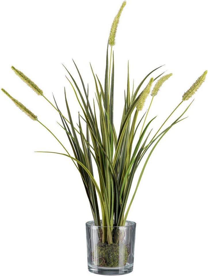 Kunstgras Grasbusch Miscanthus im Erdballen mit Glas Gras, Creativ green, Höhe 63 cm von Creativ green