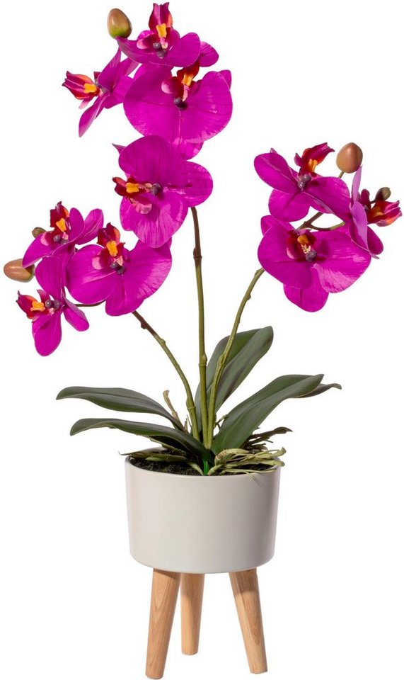 Kunstorchidee Orchidee Phalaenopsis in Keramikschale Orchidee Phalaenopsis, Creativ green, Höhe 42 cm, mit Real-Touch-Blüten und auf Füßen von Creativ green