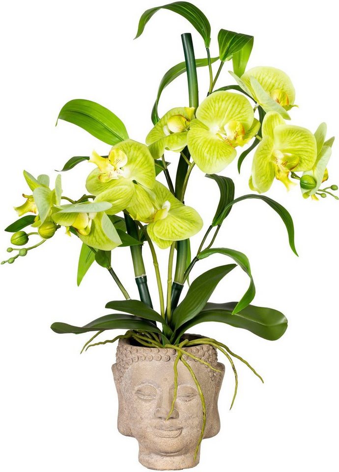 Kunstorchidee Orchideen-Bambus-Arrangement im Buddhakopf Orchidee, Creativ green, Höhe 60 cm von Creativ green