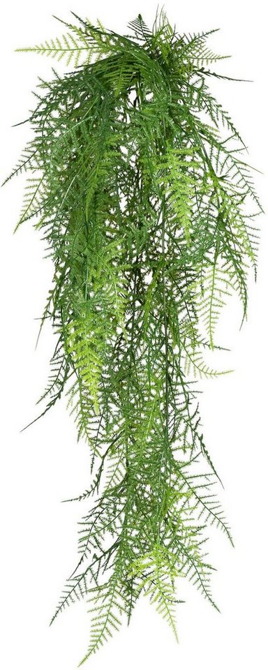 Kunstranke Hänger Asparagus plumosus Asparagus, Creativ green, Höhe 80 cm von Creativ green