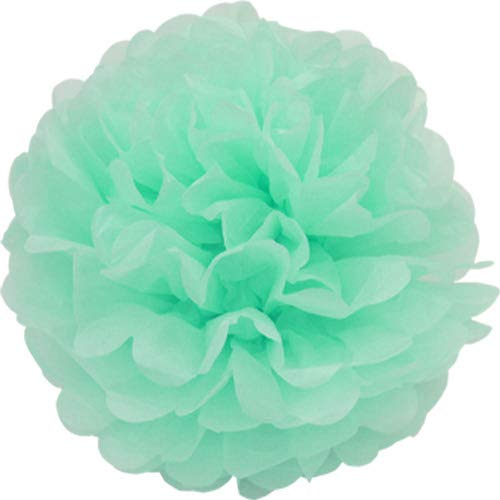 Creativery 1 Papier Pompon 25cm (mintgrün/Mint 513) // Pompoms Bommel Papier Kugel Seidenpapier Pom Pom Deko Hängedeko Raumdeko Blumen von Creativery