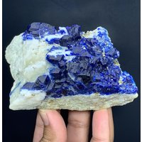 Natürlicher Blauer Sodalith Mit Pyrit, Hackmanit-Exemplar Auf Matrix, Rohsolit, 470 Gramm von CrystalsMania