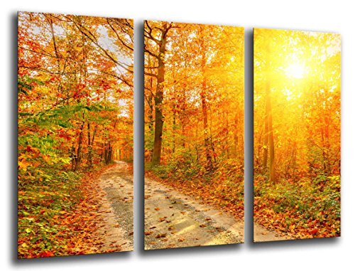 Wandbild - Herbst Wald, Landschaft Natur, Sonnenuntergang, 97 x 62 cm, Holzdruck - XXL Format - Kunstdruck, ref.26040 von Cuadros Camara