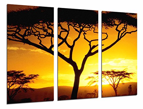 Wandbild - Afrikanischer Baumsonnenuntergang, Natur, 97 x 62 cm, Holzdruck - XXL Format - Kunstdruck, ref.26586 von Cuadros Camara