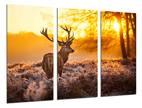 Wandbild - Waldlandschaft, Rentier, Natur, Tiere, 97 x 62 cm, Holzdruck - XXL Format - Kunstdruck, ref.26481 von Cuadros Camara