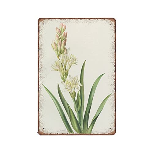 DAIERCY Weiße Tuberose Blume Botanische Blechschilder von 1964 Vintage Floral Poster, Blumenzwiebelblume Botanische Kunst Lustiges Metallschild Poster Wandkunst Küche Garten Cottage Home Decor, 140 x von DAIERCY