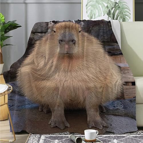 DAZIBY KüHlende Decke Capybara Kuscheldecke 155x220cm Wohndecke Fleecedecke Kuscheldecke Kinder Sofa üBerwurfdecke Flauschige Decke Blanket Tagesdecke Camping Decke Reisedecke von DAZIBY