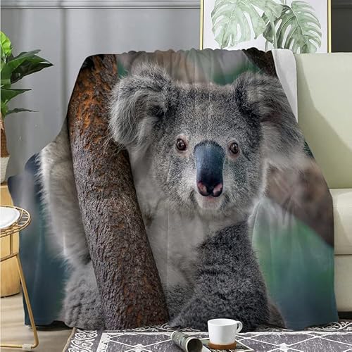 DAZIBY Kuscheldecke Grauer Koala Kuscheldecke 220x240cm Wohndecke Fleecedecke Kuscheldecke Kinder Sofa üBerwurfdecke Flauschige Decke Blanket Tagesdecke Camping Decke Reisedecke 3D Drucken von DAZIBY