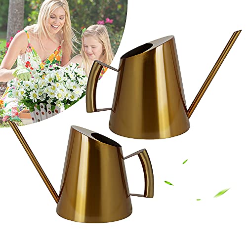 1500ml Edelstahl Gießkanne Metall Giesskanne Langer Auslauf Garten Blumengießkanne Halbkugelform Haushalt mit Komfort Griff für Indoor Outdoor Pflanzen, Gartenarbeiten Drinnen Draußen von DENEST