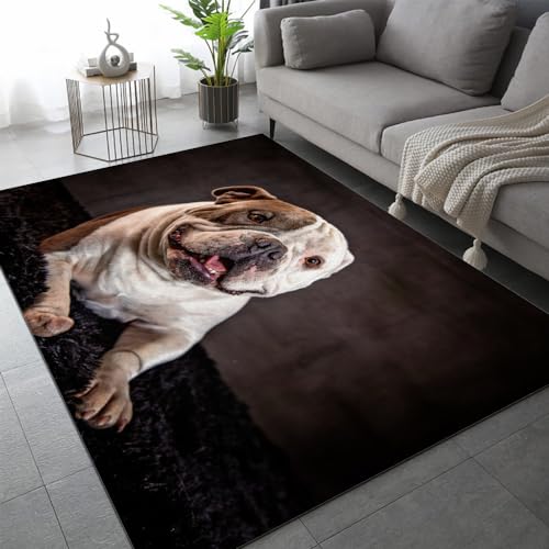Bulldogge Teppich Schlafzimmer rutschfeste FußMatte Hund Tier Kinderteppich Dekoration Carpets Teenager Kurzflor Flanell Teppiche Home Spielteppiche für Wohnzimmer 80x120 cm von DILANI