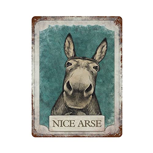 Nice Ass Poster Metallblechschild Retro Eisenmalerei Garten Garage Küche Schild für Männer Höhle Bar Cafe Shop Badezimmer Outdoor Street Home Wandkunst Dekor Geschenke von DJNGN