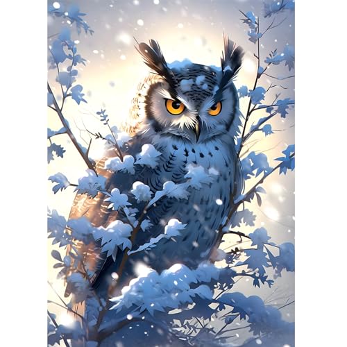 DOMROM Diamant Painting Bilder, Eule Diamant Painting Set für Erwachsene Schnee, Vogel Diamant Painting Bilder Vollbohrer 5D Malen nach Zahlen Diamant Anfänger für Gift Home Wall Decoration 30x40cm von DOMROM