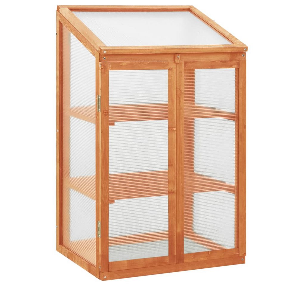 DOTMALL Gewächshaus 2 Etage mit Doppeltüren,aus Holz, wetterfest,60x45x100 cm DOTMALL Gewächshaus 2 Etage mit Doppeltüren,aus Holz, wetterfest,60x45x100 cm von DOTMALL