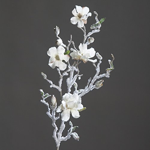 DPI Magnolienzweig Schnee Creme 76 cm Kunstblume von DPI