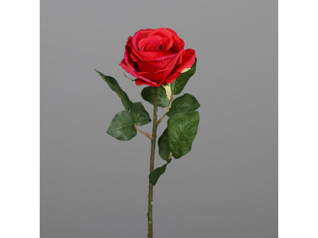 Kunstblume, DPI, Höhe 48 cm, Rot H:48cm D:10cm Kunststoff von DPI