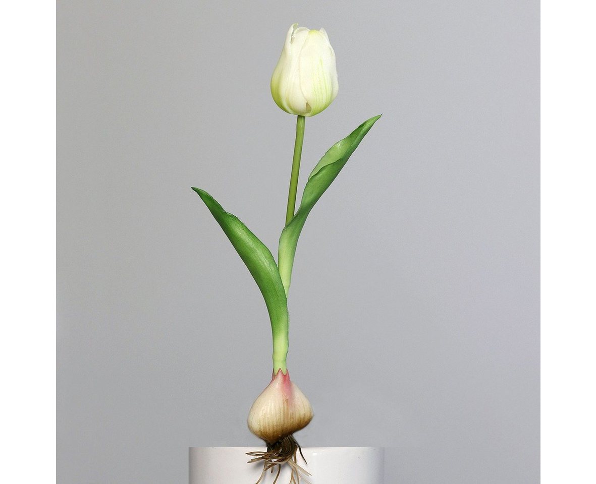 Kunstpflanze, DPI, Höhe 25 cm, Weiß H:25cm Kunststoff von DPI