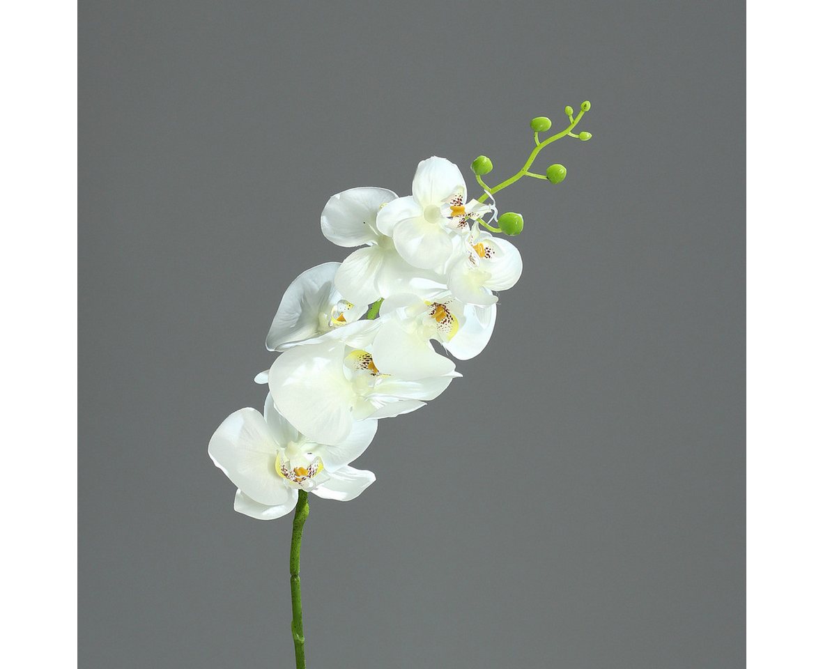 Kunstblume Orchidee Phalaenopsis mit 7 Blüten creme 83 cm Kunstblume von DPI, DPI, Höhe 83 cm von DPI