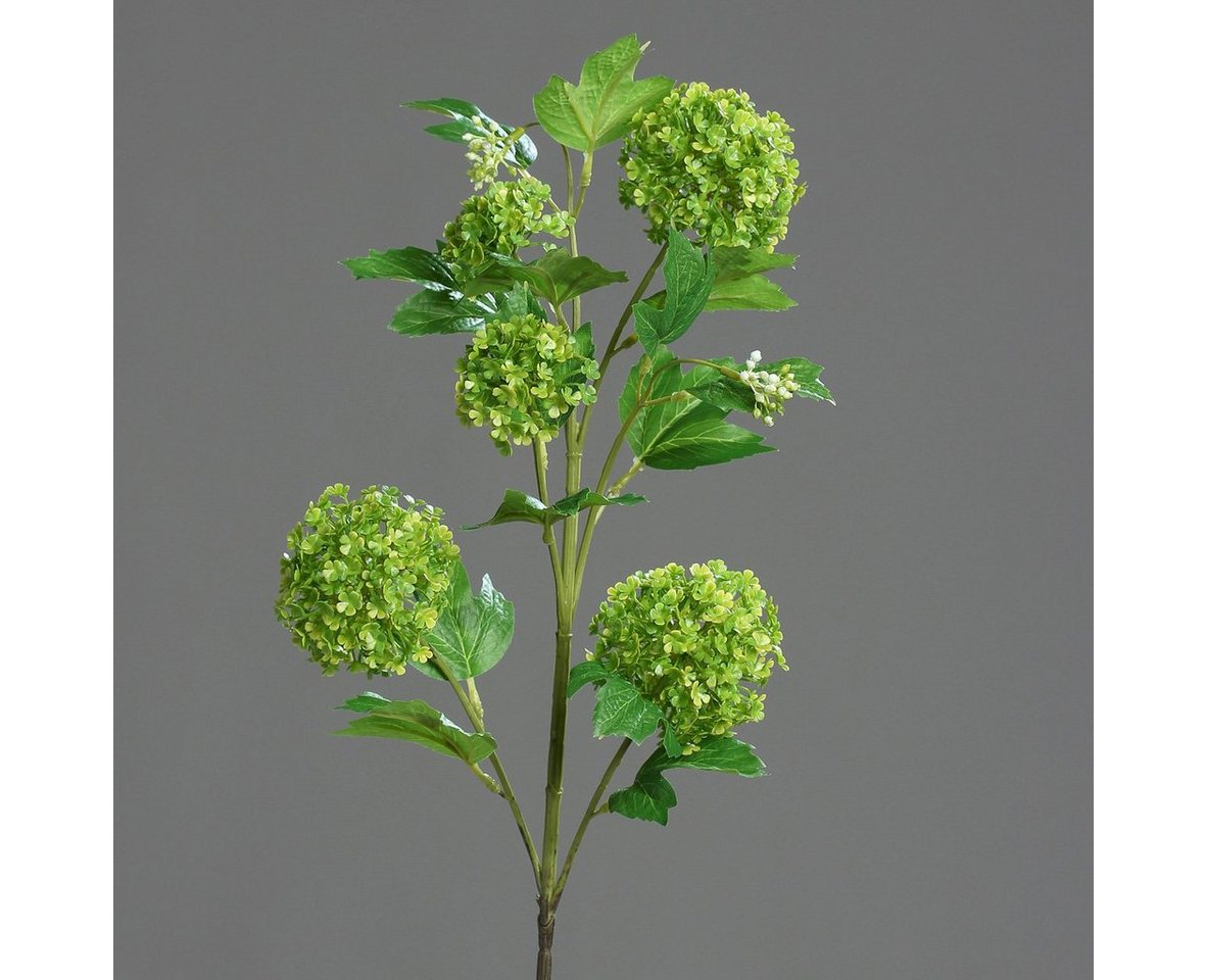 Kunstblume Wunderschöne Kunstblume Schneeball Viburnum grün L75 naturgetreu, DPI von DPI