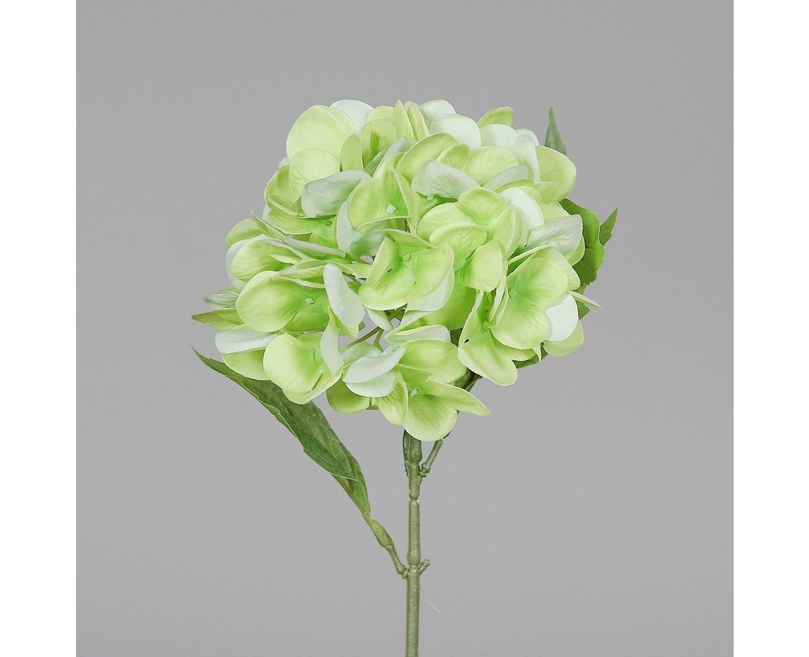 Kunstpflanze, DPI, Höhe 31 cm, Grün B:14cm H:31cm D:14cm Kunststoff von DPI