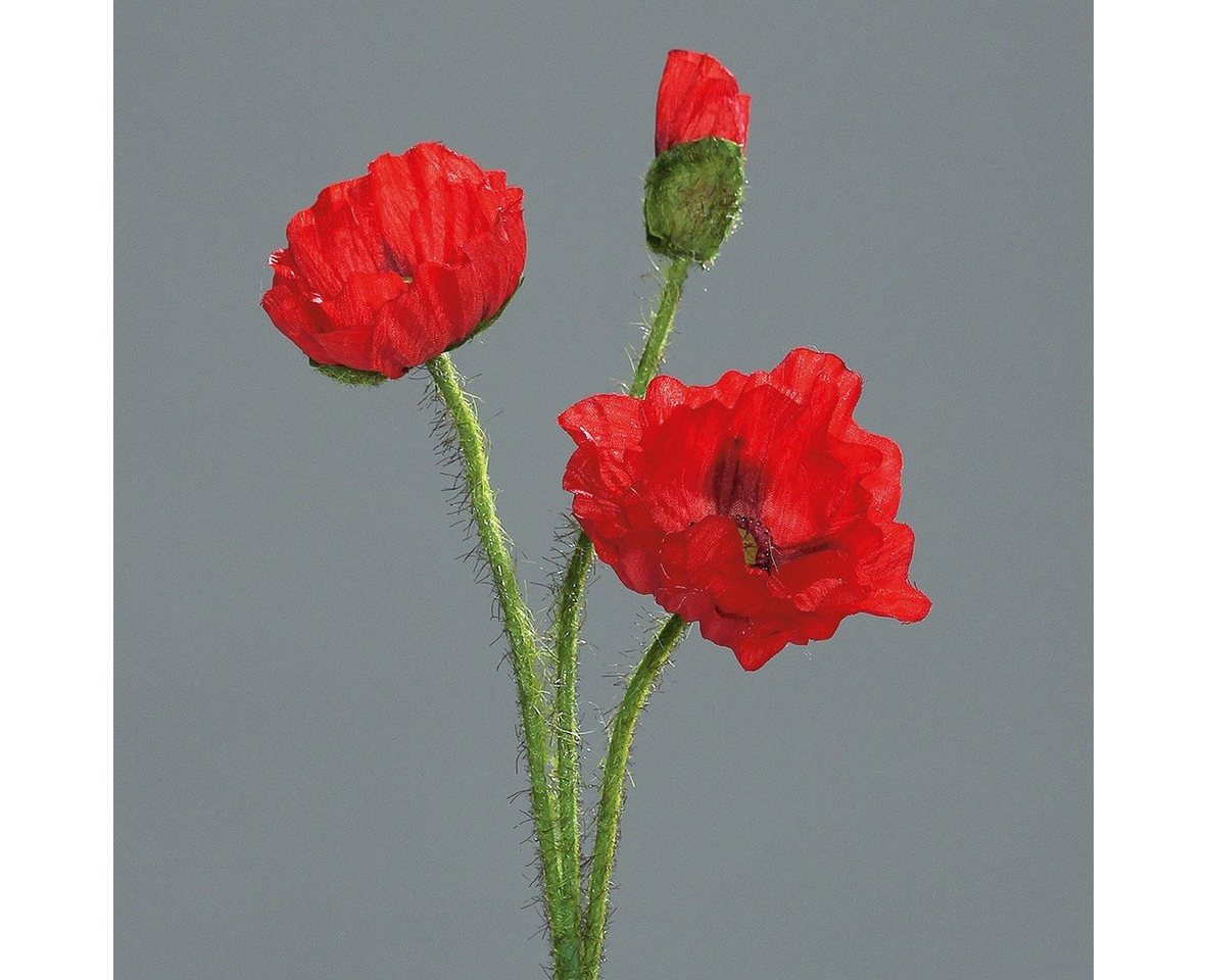 Kunstpflanze, DPI, Höhe 52 cm, Rot B:18cm H:52cm D:8cm Kunststoff von DPI